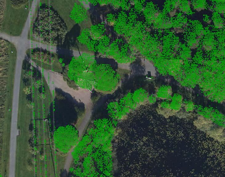18 kuvien käsittelyyn ja ortokuvatuotantoon käytetään TerraPhoto-ohjelmistoa ja lentolinjoja sovitellaan TerraMatch-ohjelmistolla. Isoja laseraineistoja visualisoidaan TerraStereo-ohjelmistolla.