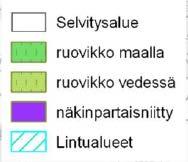 Sen mukaan ranta-alueella Lilludden ja laiturialueen välissä on viitasammakon kutupaikka. Myös em.