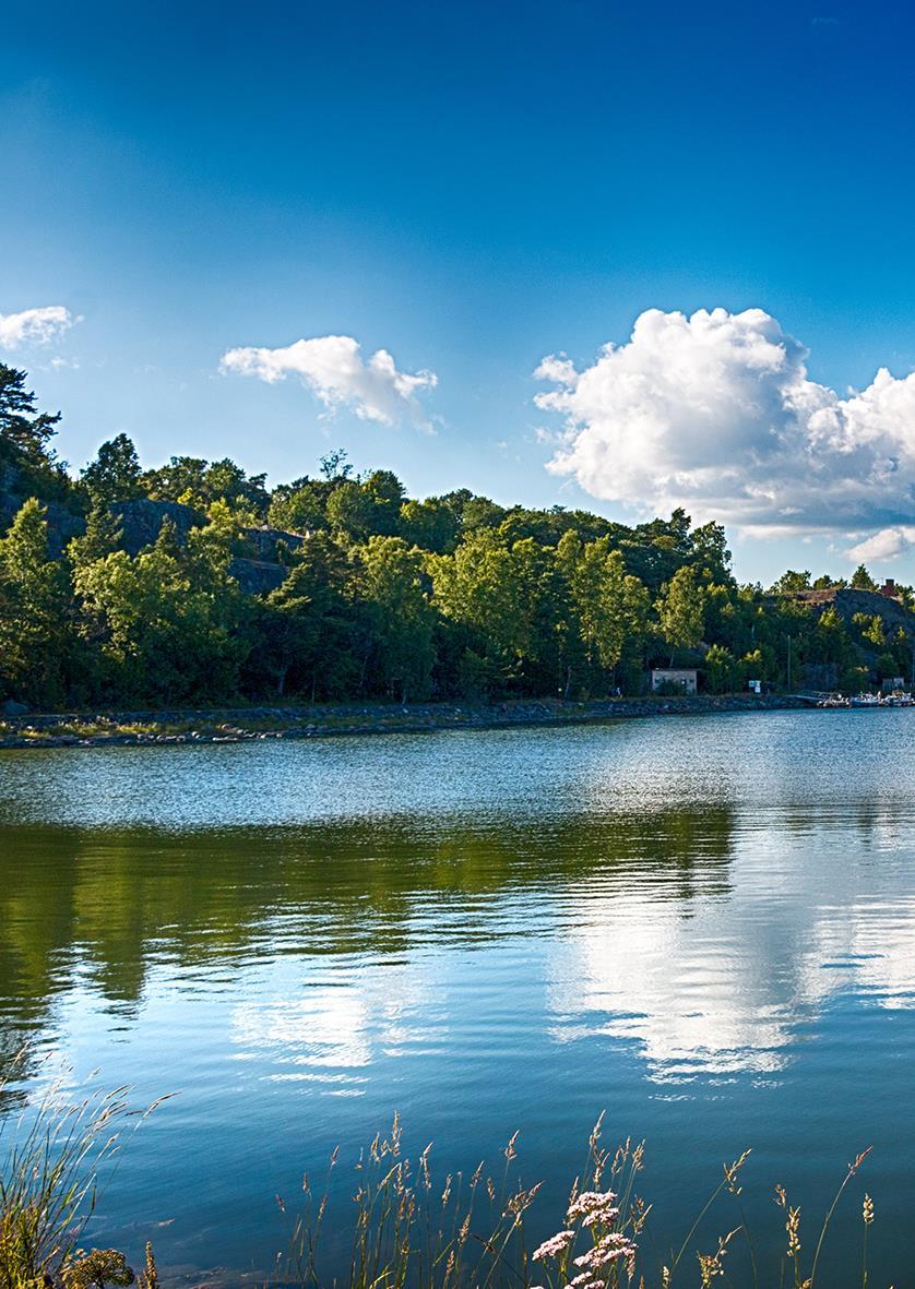 "Finland's economic growth will continue and remain broadly based.