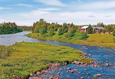 fi Kotitalouksien maksuton jäte, sähkölaitteet, rautaromu Kotitalouksien maksuttomat vaaralliset jätteet voi palauttaa jäteasemalle. Lääkkeet ja elohopeakuumemittarit tulee palauttaa apteekkeihin.