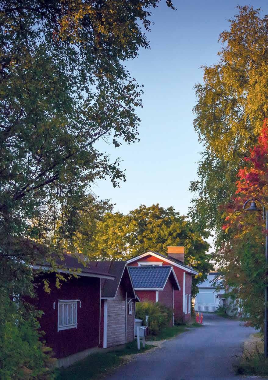 Ateriapalvelut Varhaiskasvatuksen lasten - ja koululaisten tarvitsemat lääkärin/terveydenhoitajan toteamat erityisruokavaliot ilmoitetaan uusien lasten osalta syyslukukauden alussa jakelukeittiöille.