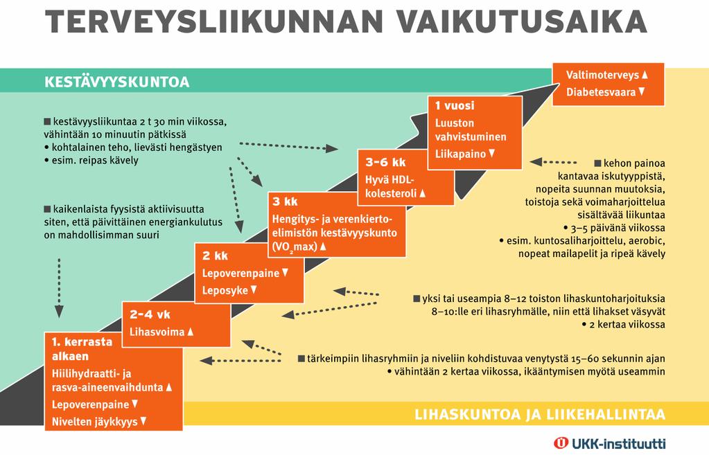 Mikään yksittäinen