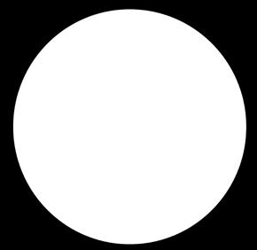 ....... s. 11 Yhtiön johto ja tilintarkastajat.... s. 11 Arvio todennäköisestä kehityksestä kuluvalla tilikaudella... s. 11 Hallituksen esitys osingonjaosta.... s. 11 Tuloslaskelma.... s. 12 Tase.... s. 13 Tilintarkastuskertomus.