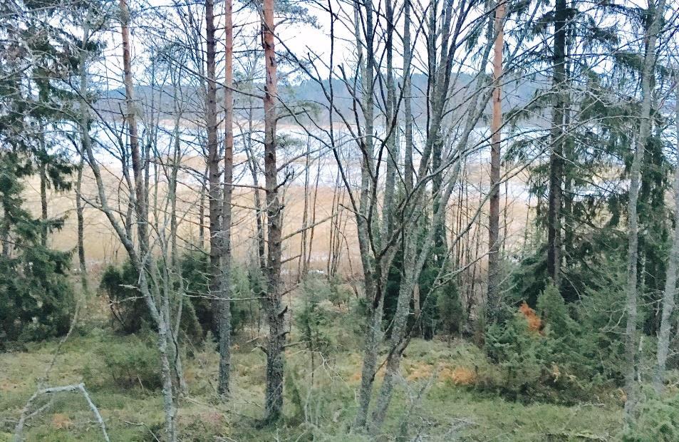 282-RAK1701 NAANTALIN KAUPUNKI ÄIJÄLÄN RANTA-ASEMAKAAVA JA NIMETÖN- PATARAUTA-RENKO