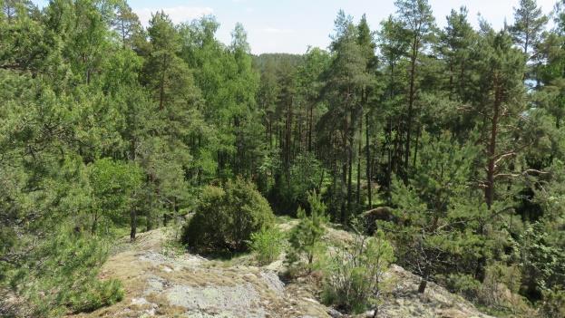 Yllä on näkymä peltoalueelta kohti aluetta ja oikealla on näkymä kallioalueelta metsän yli merelle. 3.