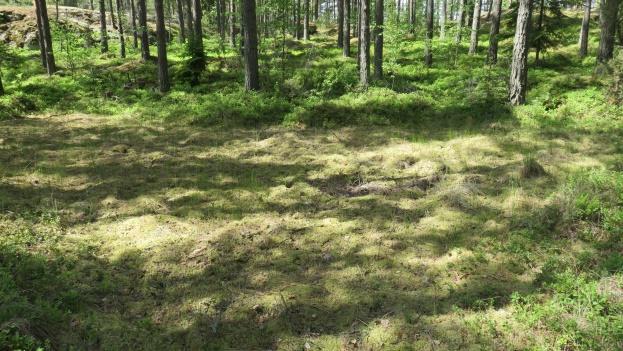 KV Ympäristökonsultointi Tmi Nosto Consulting Oy Äijälän Rusti RAK:n luontoselvitys, Naantali T201713 8 4.3 Muut luonto- ja ympäristöarvot Karukkokallio ja irtolohkareet.
