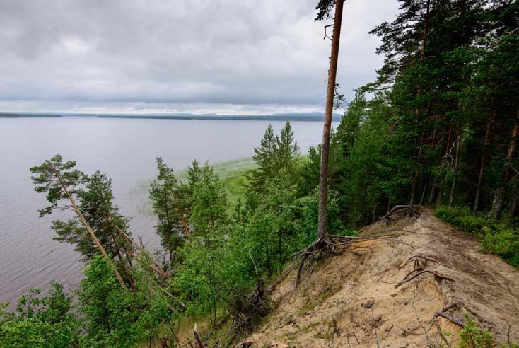 2 2. Inventointialue ja sen tutkimushistoria Inventoitu kaava alue sijaitsee Sotkamon kirkonkylän itäpuolella. Se rajoittuu pohjoisessa Sotkamojärveen ja etelässä Sapsojärveen.