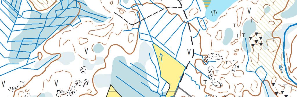 2 Ahvenlampi 703450 Kivikkoalue Suojelualue 0