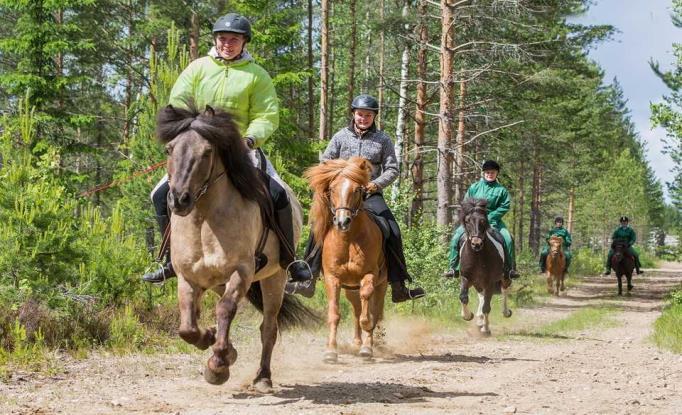 Virkistysaltaat ja kuntoallas ma-pe klo 14.00-21.00* la klo 09.00-20.00* su klo 09.00-16.00* VAELLUSTALLI TORESON puh. 010 5777 472 (klo 09.00-17.00) vaellustalli@gmail.com www.vaellustallitoreson.