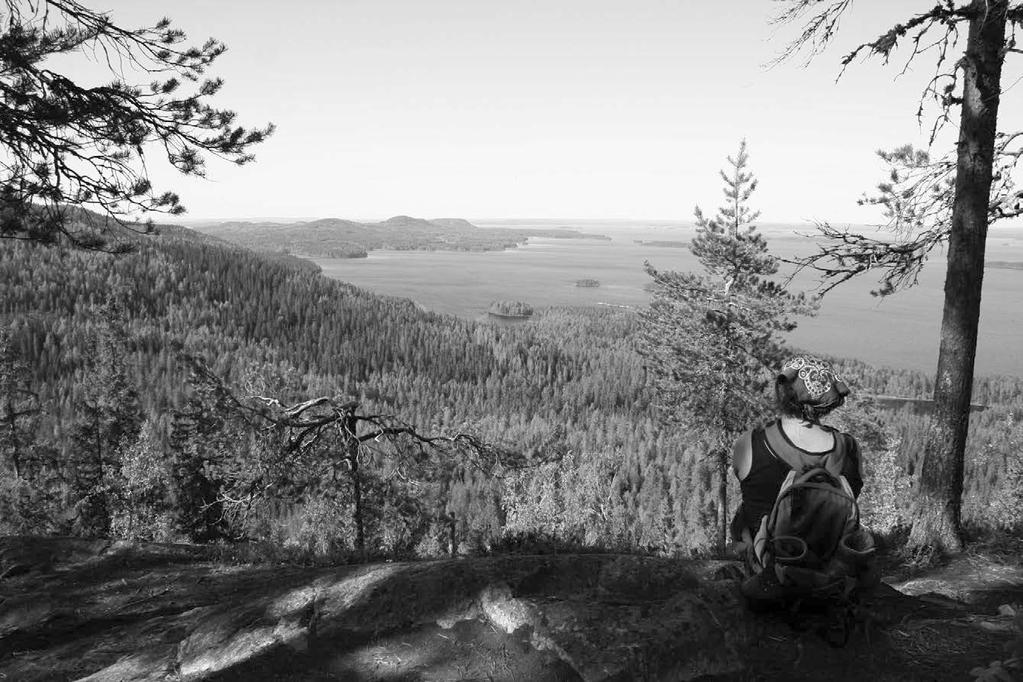 Kolin kutsuva tarina Maankuulun Saarelaisten Sukuseuran kokoontuessa Kolille 28.7.2018, lienee paikallaan esittely, millainen ympäristö Teitä odottaa.