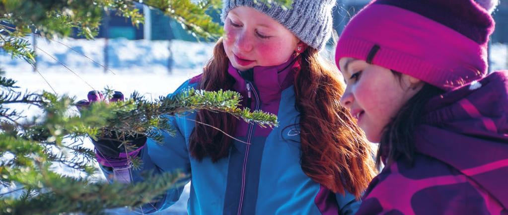 KIELI- JA KULTTUURIRYHMIEN OPETUS Kieli- ja kulttuuriryhmien opetuksen tavoitteena on tukea oppilaiden monikielisyyttä ja kotoutumista suomalaiseen yhteiskuntaan.