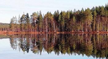 KALAVESIEN HOITO JA KALANISTUTUKSET Vuoden 2018 aikana on istutettu pääasiassa kesänvanhoja siian- ja kirjolohenpoikasia.