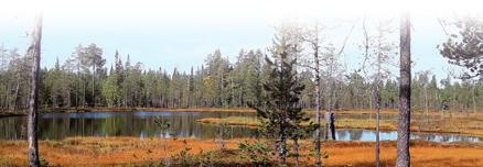 MÖKKITONTTIEN VUOKRAUS JA MYYNTI Vuokrauksen ja myynnin periaatteet Tontit/määräalat ovat kooltaan noin 2 500 m².
