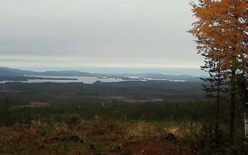 KIINTEISTÖKAUPPA Kiinteistöjen hankinta Kemijärven yhteismetsä hankkii kiinteistöjä - tilan tai määräalan liittämisellä yhteismetsäosuuksia vastaan - tilan tai määräalan kaupalla -