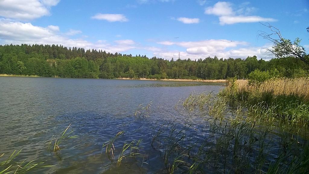 GEOLOGIAN TUTKIMUSKESKUS Geologinen rakenneselvitys 19.05.