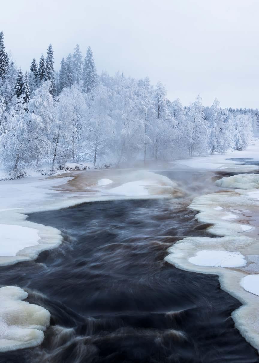 HALLINTO KEMIJOKI OY:N HALLINTO 31.12.2018 Olemme sitoutuneet toiminnassamme hyvään hallintotapaan ja lainsäädännön noudattamiseen.