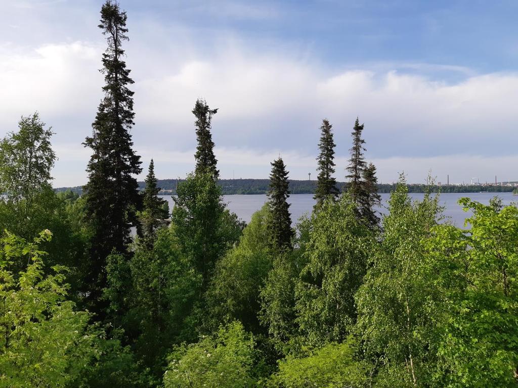 Mitä on ympäristönsuojelu? Ympäristönsuojelu on toimintaa, jonka tavoitteena on ratkaista, lievittää ja ennaltaehkäistä ympäristöongelmia.