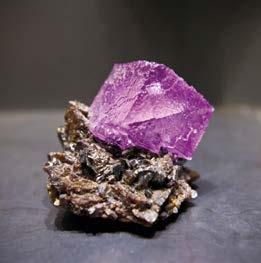 Tampere Mineral Museum, Postal Museum and the Finnish Museum of Games.