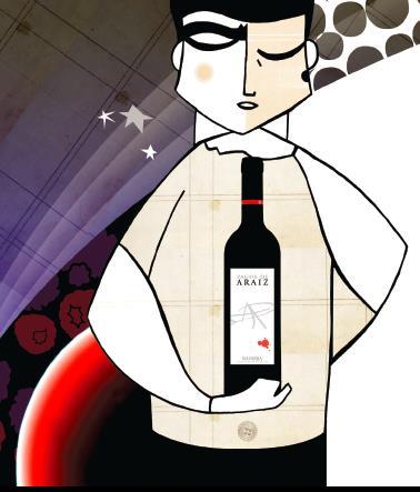 5 Pagos de Araiz Roble Vuosikerta; 2015 Alue; D.O.