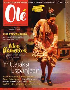 Illalla on myös mahdollisuus lähteä katsomaan todella hieno flamenco-esitys, olemmehan sentään flamencon pääkaupungissa (lisämaksullinen, hinta 38 )! Katso lisää: www.elpatiosevillano.