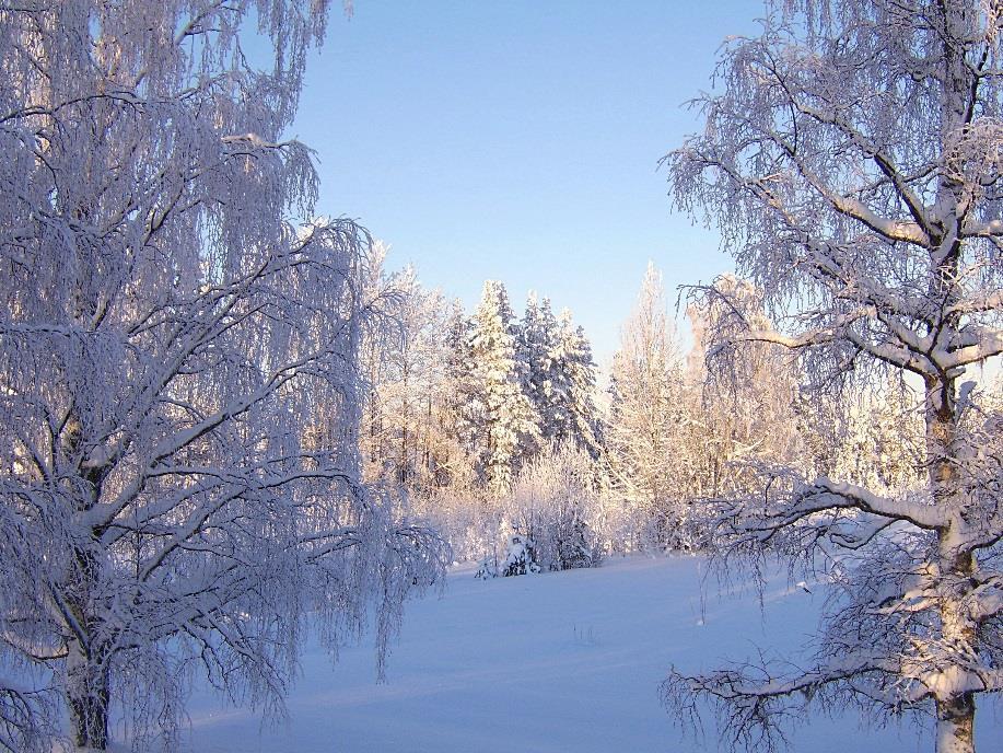 LUONTO JA YMPÄRISTÖ Me vaalimme Hossan hengessä