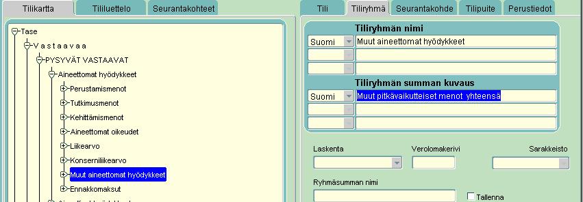 3) Klikkaa Tiliryhmän summan kuvaus kohdan selitettä.