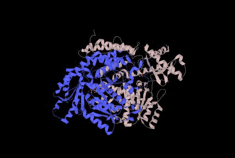 6 The insulin autoantibody (IAA) epitopes have been identified in both the A chain and the B chain of insulin, within residues 8 13 and 28 30 respectively [3].