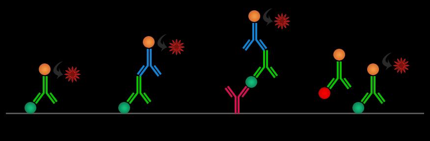 10 Figure 4. ELISA principles [18] In all methods, the final step is the addition of a substrate to produce a colour change; the sample is then quantified with spectrophotometry.