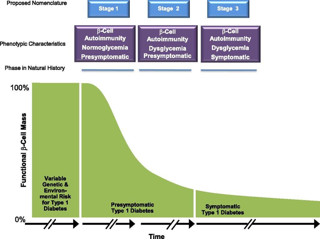 3 Figure 1. Staging of type 1 diabetes [4] 2.