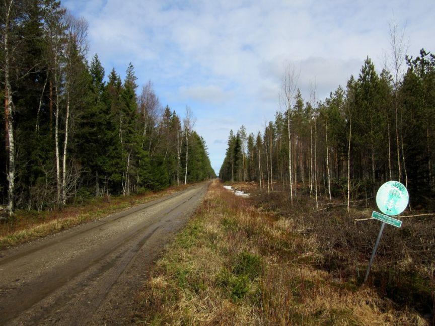 9 Voimalapaikan 5 vaikutusalue sijaitsee varttuneen kuusi-mäntymetsän ja tiheän kasvatusmetsän alueella, maaperä on keskikarkeaa pohjamoreenia.