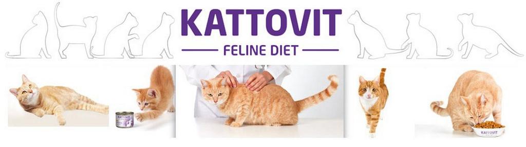 ERIKOISTÄYSRAVINNOT KISSOILLE Tutkimus ja kehitys - Kattovit täysravinto sarja kissoille on aktiivisen kehitys- ja tutkimustyön tulos.
