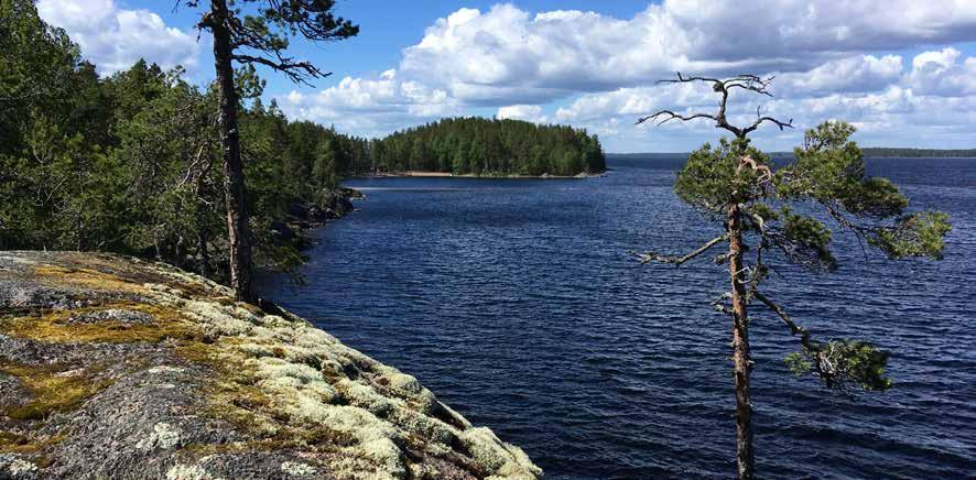 Särkän muotoutuminen lienee alkanut ennen Suursaimaan maksimivaihetta vedenpinnan ollessa vielä nykyistä alemmalla tasolla.