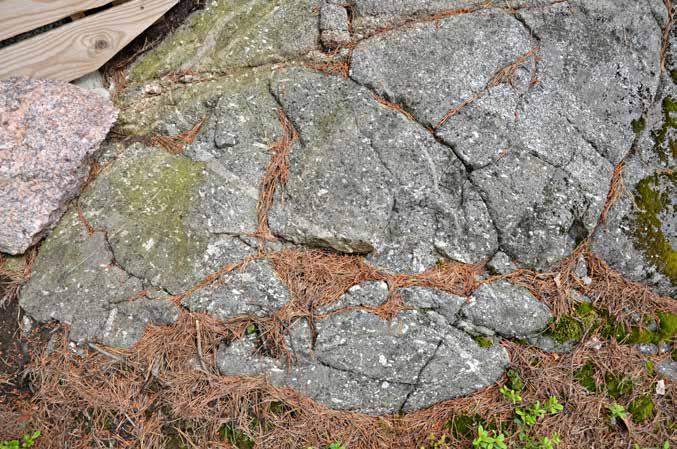 6 300 v sitten (81-81,5 m mpy) / The Greater Saimaa phase highest shoreline c. 6,300 yrs.