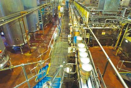 19 Projekti Magor Brewery Sijainti