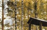 1 viikko Myyntierä: täysi rekkakuorma tai 1000 L suursäkki Tuotenumero: täysi rekkakuorma: 1813 1000 L suursäkki: 918 Tilaustuote, toimitusaika n.