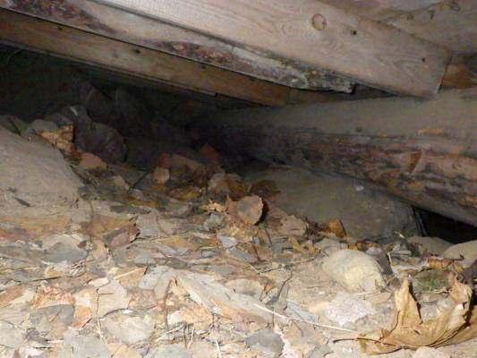 Tyypillisesti rossipohjan korjauksissa joudutaan uusimaan myös seinien alaosat ja varsinkin tapauksissa, joissa osana vaurion aiheuttajana on ollut lattiasieni, jonka rihmastot