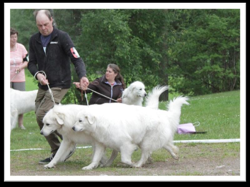 ParasPari: Kalliovaaran