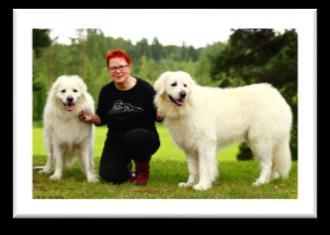 PÄÄKIRJOITUS Päätoimittaja Seija Juselius Paljon on tapahtunut sitten viime lehden. Kesäpäivät vietettiin hyvässä säässä aina viihtyisässä Aurantolassa.