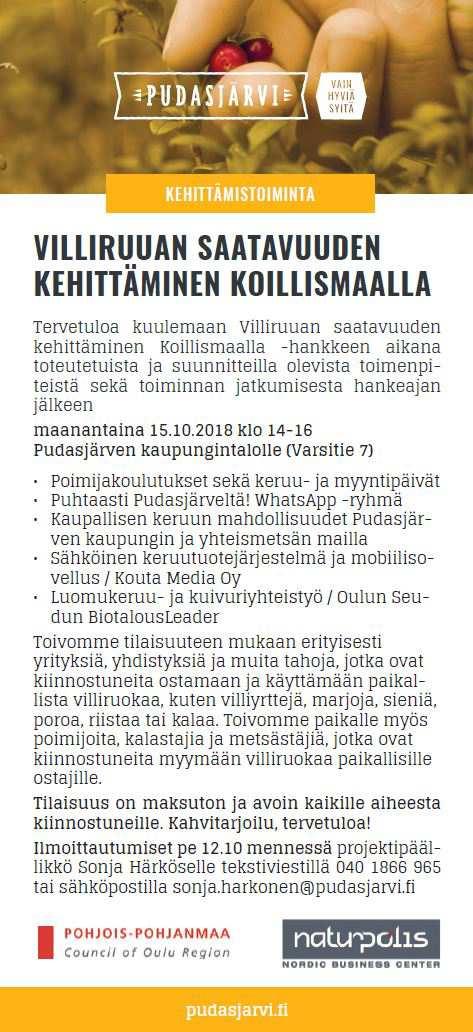 Sivu 6 / 15 Avoimet hanketilaisuudet Pudasjärvellä järjestettiin lisäksi kaksi kaikille avointa hanketilaisuutta, ensimmäinen 13.8.2018 