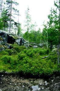 31 Kohde 30. Rotko GPS: 357 25 76; 766 16 25 Suurista lohkareista muodostunut, loivasti Käyräjärveen viettävä rotko, jonka pohjalla sijaitsee pieni kausikostea, liejupohjainen lampare.