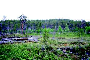 33 Kohde 34. Suoyhdistelmä GPS: 357 39 14; 766 24 78 Kiviluppovaaran eteläpuolelle sijoittuu järvien ja soiden muodostama mosaiikki, jossa suot ovat hieman keskimääräistä rehevämpiä.