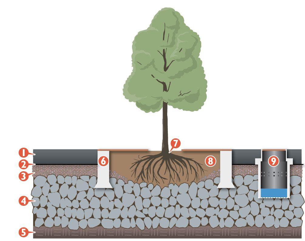 How to create good growing conditions and taking care of the rain water 1. Pavement 2. Geotextile 3.