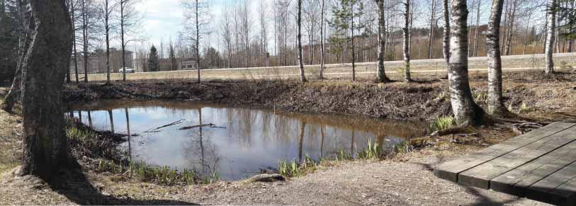 Päijät-Hämeen maakuntamuseon tutkimus ja kulttuuriympäristöyksikkö/rakennuskulttuuri: Kaavaluonnoksessa esitetään 2700 k-m² kokoisen vähittäiskaupan suuryksikön rakentamista pysäköintialueineen