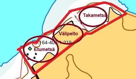 Sivu 6 / 24 3. SELVITYS SUUNNITTELUALUEEN OLOISTA Alueen maankäytön havainnollistamiseksi ranta-alue on kartalla nimetty työnimillä; etumetsä, välipelto ja takametsä. Kuva 2 Ranta-alueen jäsentelyä 3.