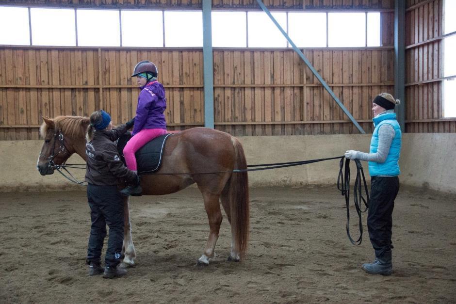 23 7.2. Ohjas-ajo Ohjasajo on paras keino sokean symmetrian havainnollistamisessa. Koulutetun hevosen konkreettinen palaute ratsastajalle itselleen antaa oppimisen kokemuksia.