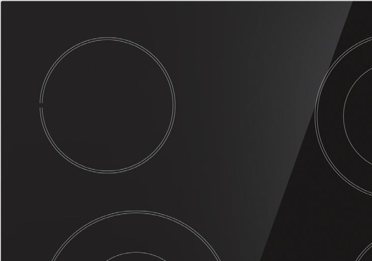 FI