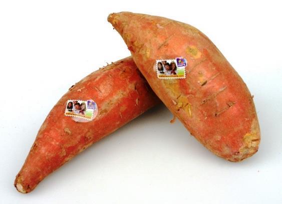 GROWER