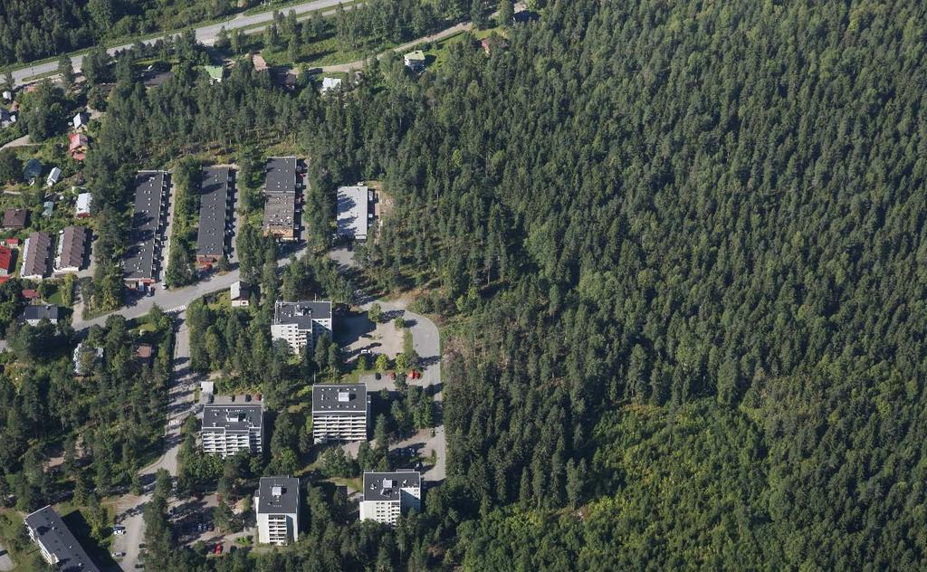 69:066 / HAAPALAMMENTIE /