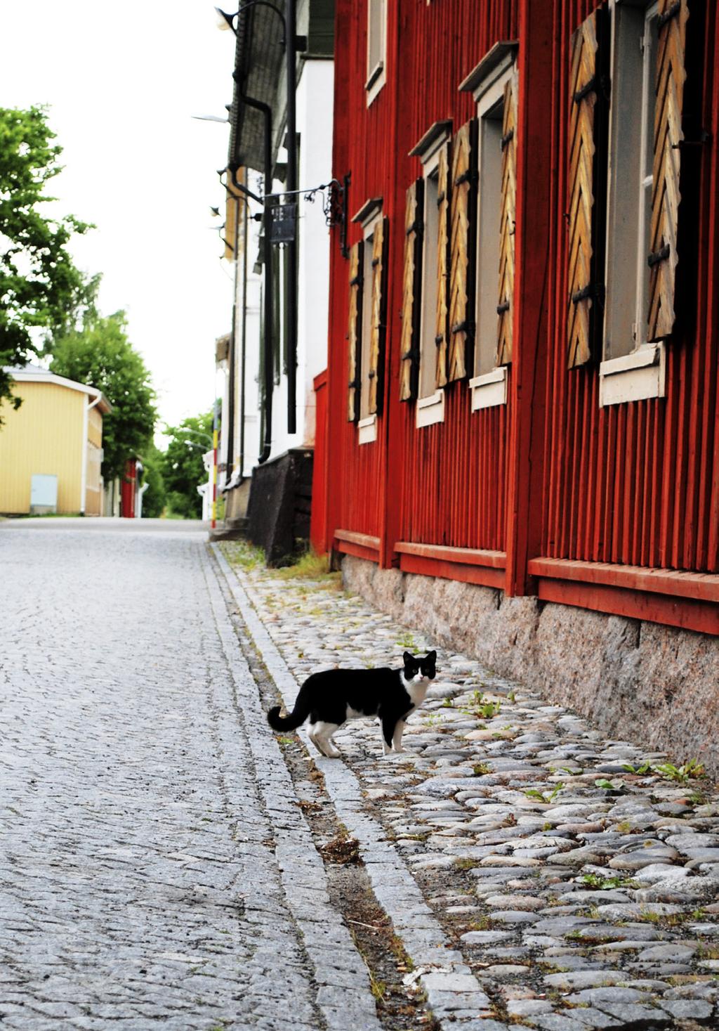 Itellan tarvitsemat tiedot Cittaslow-staden Kristinestad ska kommunikationen löpa mellan staden och stadsborna och, ja: i alla riktningar. Det här nyhetsbrevet, Citta!