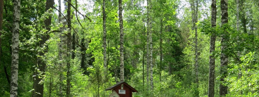 S i v u 6 4. EKOLOGINEN VERKOSTO Ekologinen verkosto muodostuu luonnon ydinalueista ja niitä yhdistävistä ekologista käytävistä.